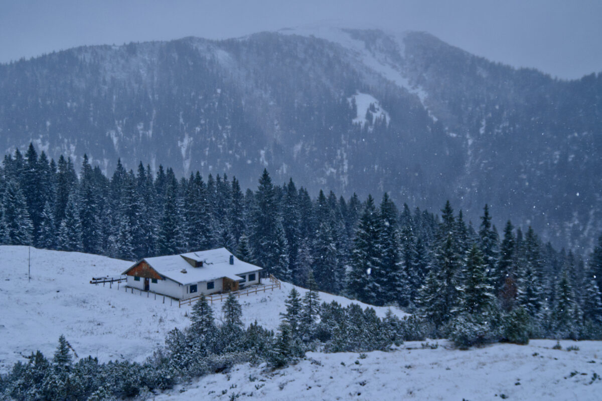 eine Hütte im Schneesturm in einem Wald. Dahinter sind Berge zu sehen.